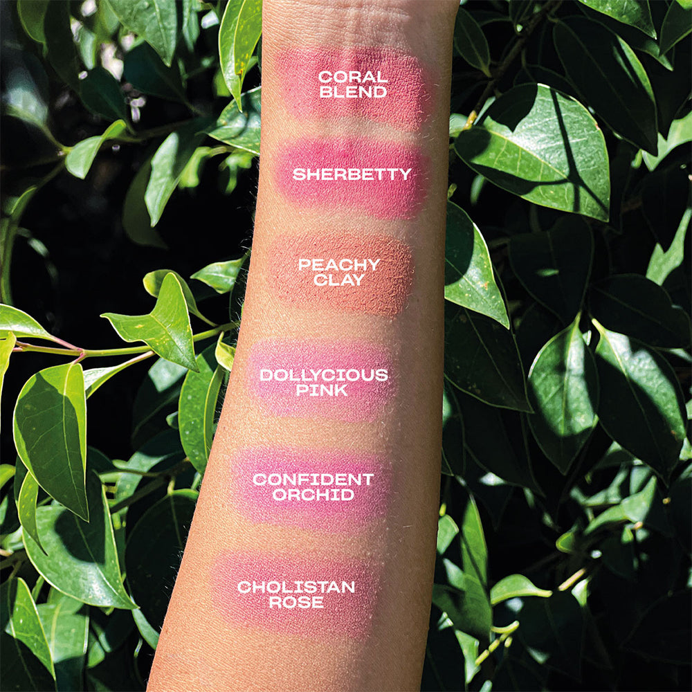CHEEK FREAK MATTE BLUSH